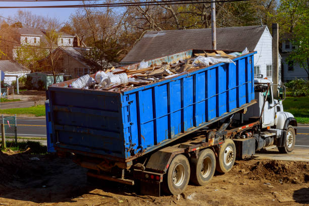 Professional Junk Removal in Orangetree, FL